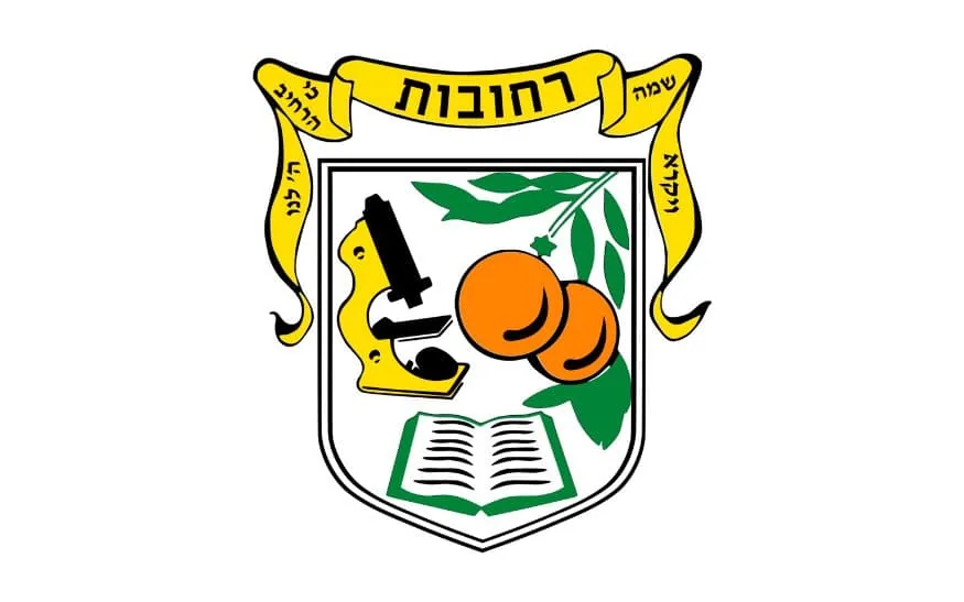 קידום אתרים ברחובות