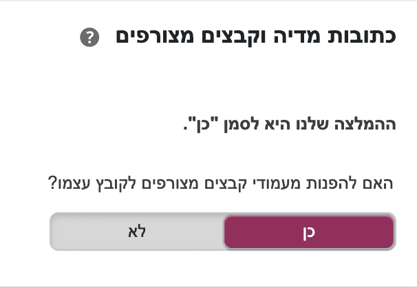 מדיה יוסט seo