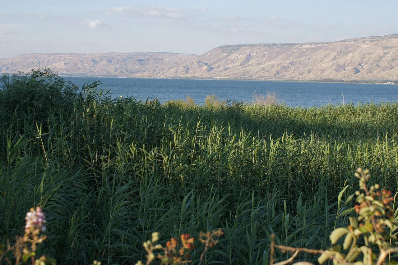 קידום אתרים בצפון