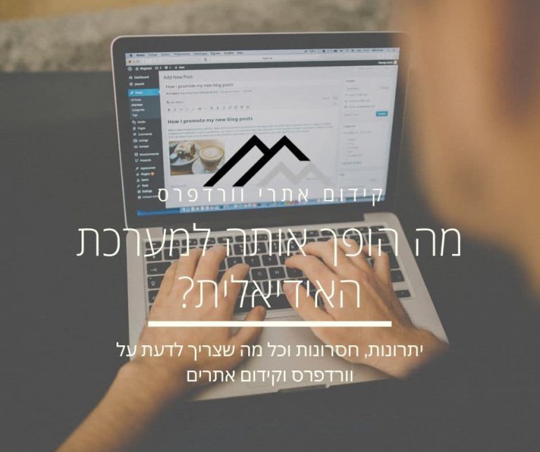קידום אורגני לאתרי וורדפרס