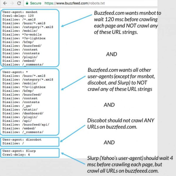 דוגמה של קובץ רובוטס / robots.txt