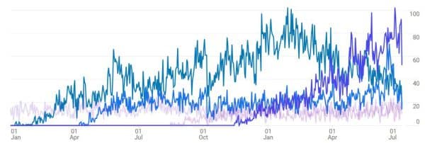 גרף תנועה לאתר