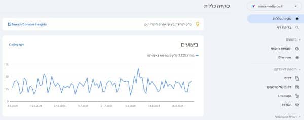 דוח סקירה כללית בגוגל קונסול